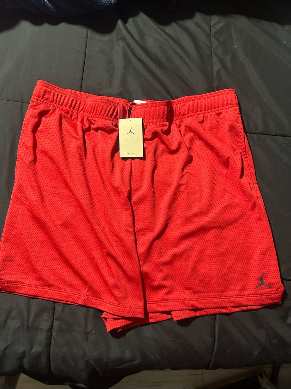 Jordan Men’s Sport Essentials Dri Fit Mesh Shorts